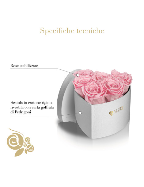 Cuore 6 Rose Rosa Stabilizzate
