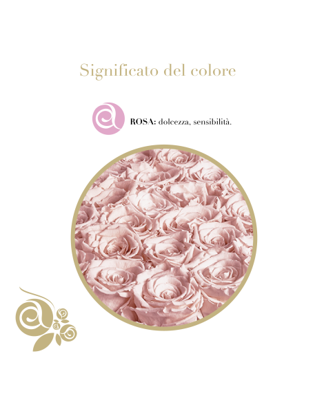 Cuore 6 Rose Rosa Stabilizzate