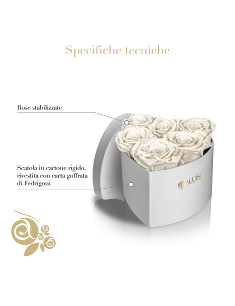Cuore 6 Rose Bianche Stabilizzate