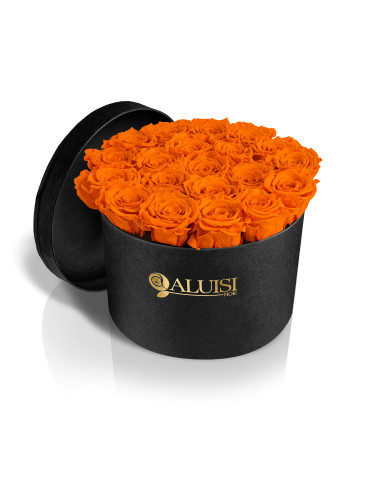 20 Rose Arancioni Stabilizzate