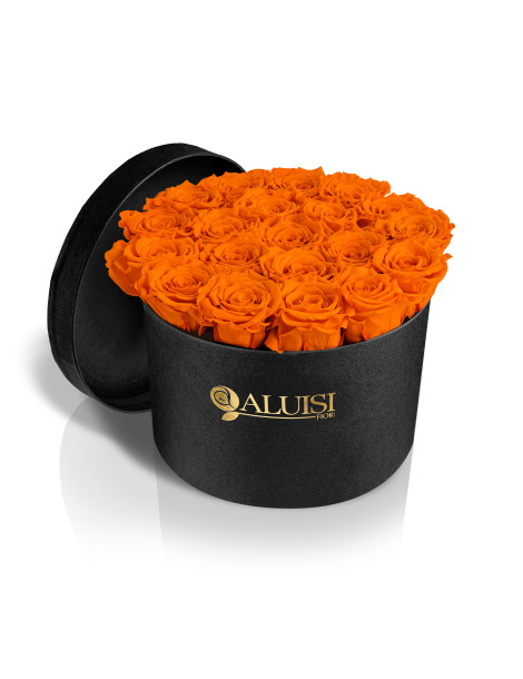 20 Rose Arancioni Stabilizzate