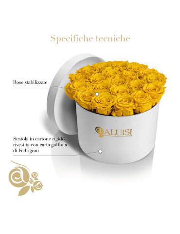 20 Rose Gialle Stabilizzate