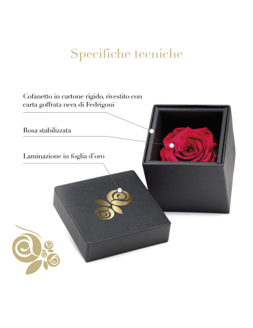 Rosa Stabilizzata Rossa