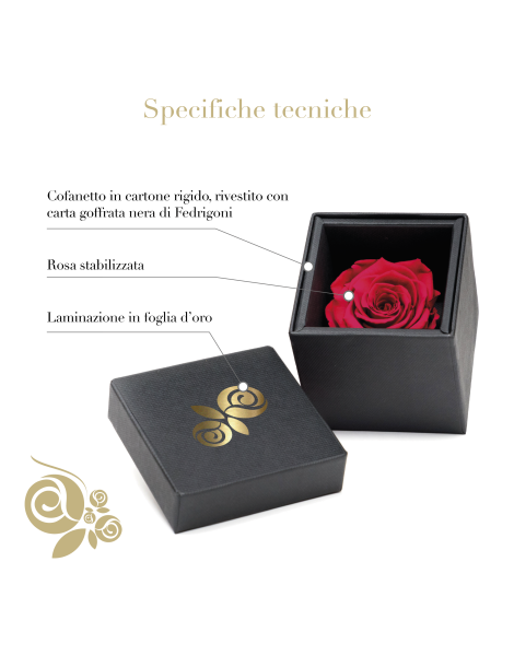 Rosa Stabilizzata Rossa