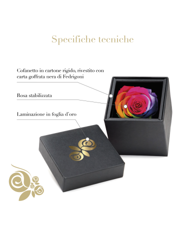 Rosa Stabilizzata Multicolore