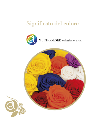 Rosa Stabilizzata Multicolore