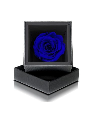 Rosa Stabilizzata Blu
