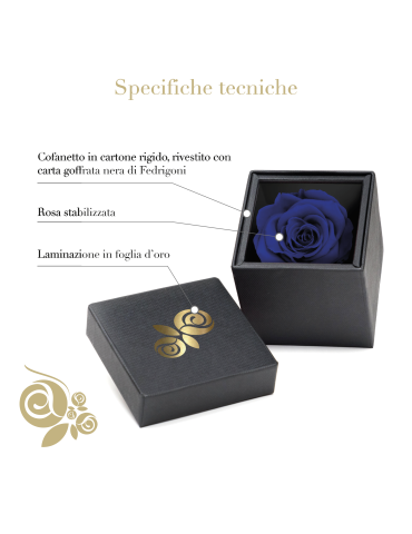 Rosa Stabilizzata Blu