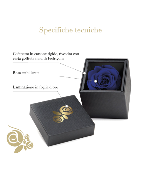 Rosa Stabilizzata Blu