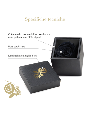 Rosa Stabilizzata Nera