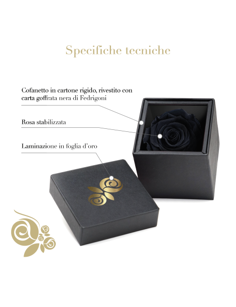 Rosa Stabilizzata Nera