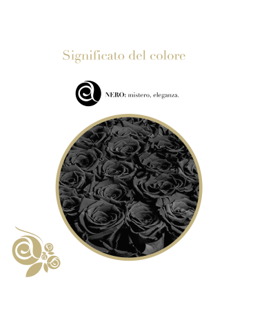 Rosa Stabilizzata Nera
