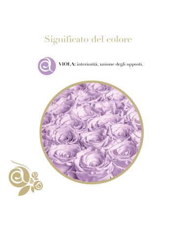 Rosa Stabilizzata Viola