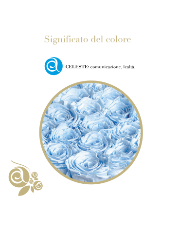 Rosa Stabilizzata Celeste