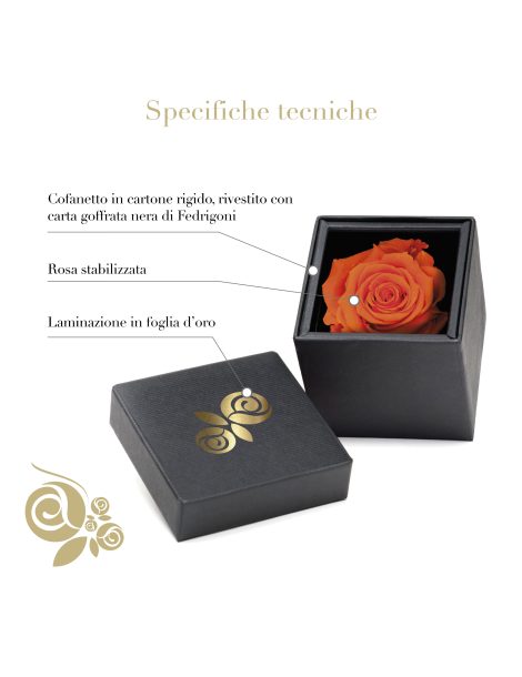 Rosa Stabilizzata Arancione