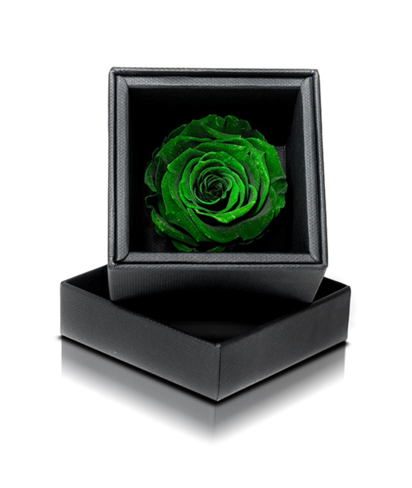 Rosa Stabilizzata Verde