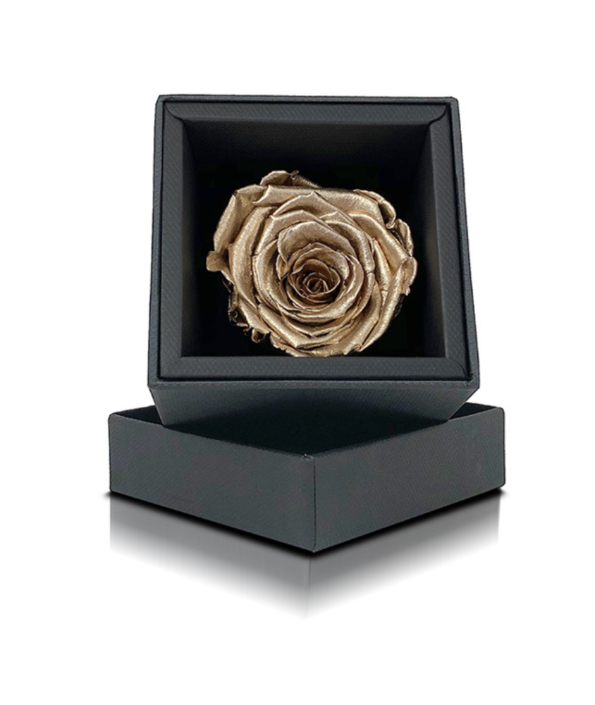 Rosa Stabilizzata Oro