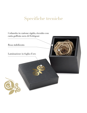 Rosa Stabilizzata Oro