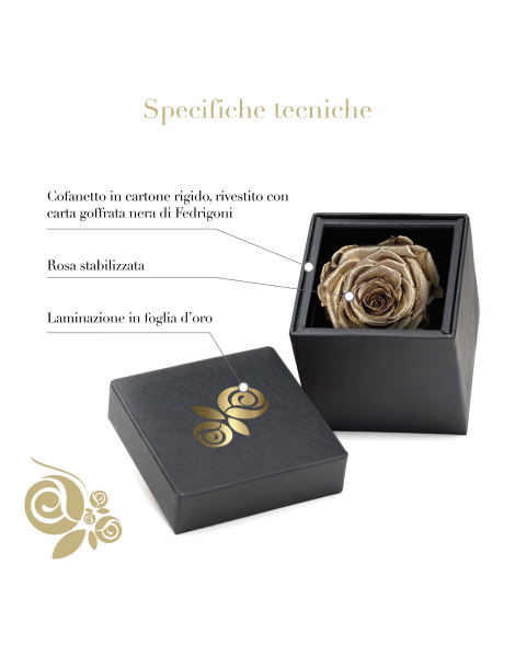 Rosa Stabilizzata Oro