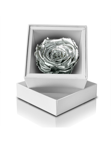 Rosa Stabilizzata Argento