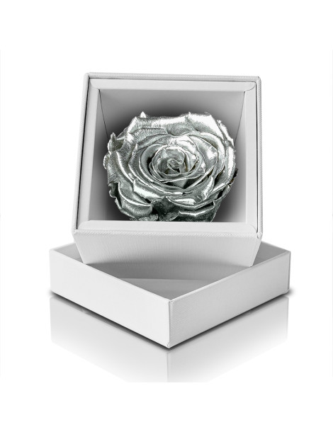 Rosa Stabilizzata Argento