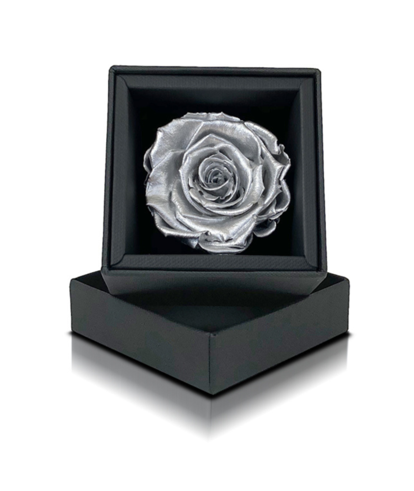 Rosa Stabilizzata Argento