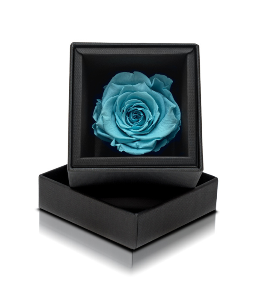 Rosa Stabilizzata Tiffany