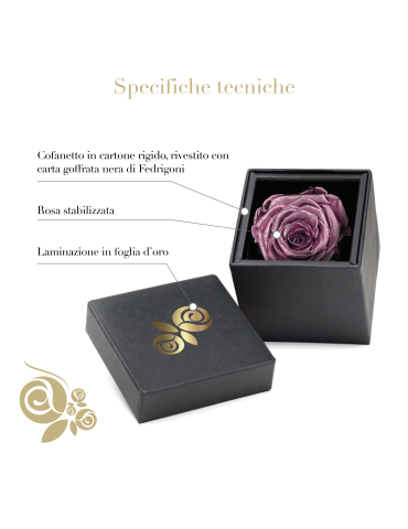 Rosa Stabilizzata Oro Rosa