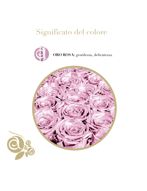 Rosa Stabilizzata Oro Rosa