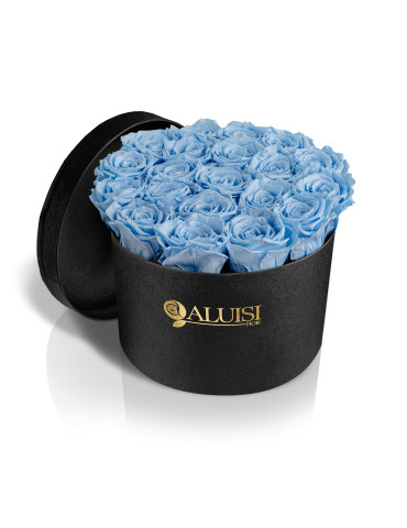 20 Rose Celesti Stabilizzate