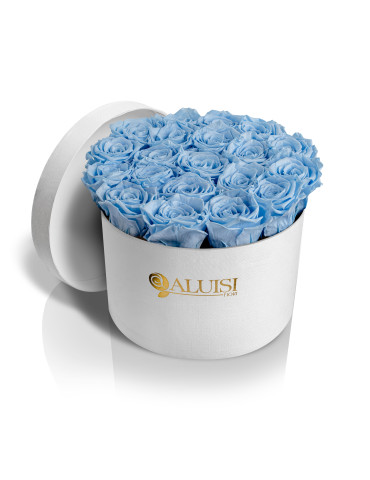 20 Rose Celesti Stabilizzate