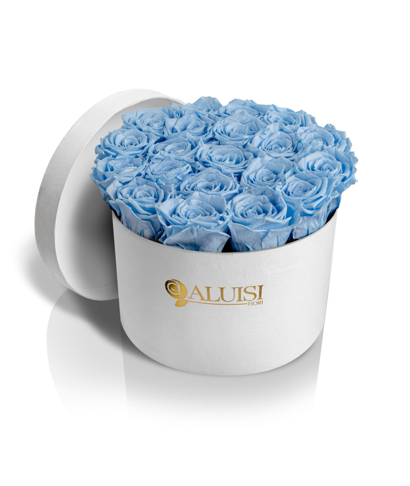 20 Rose Celesti Stabilizzate