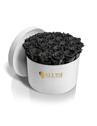 20 Rose Nere Stabilizzate