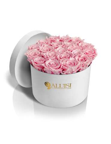 20 Rose Rosa Stabilizzate