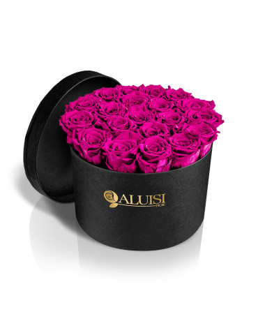 20 Rose Fucsia Stabilizzate