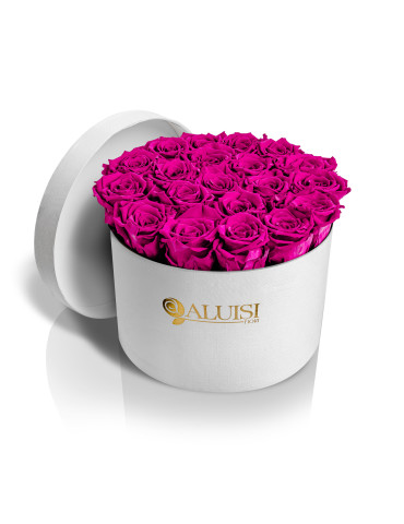 20 Rose Fucsia Stabilizzate