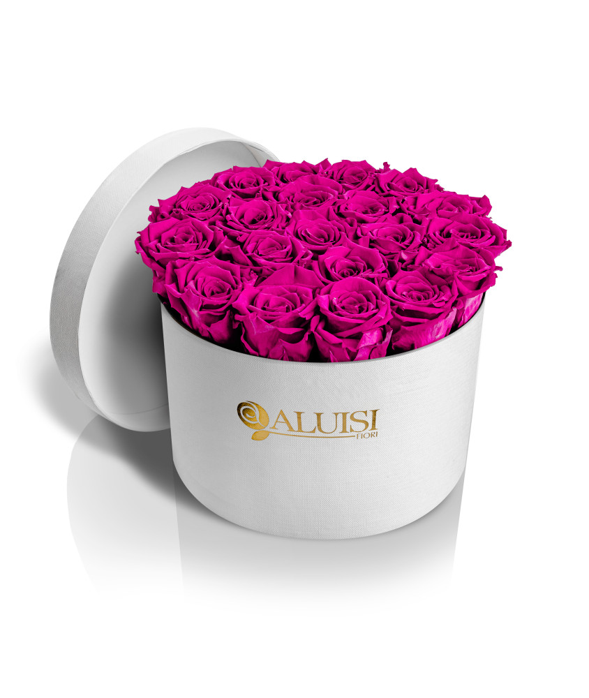 20 Rose Fucsia Stabilizzate