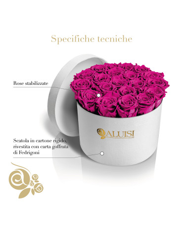 20 Rose Fucsia Stabilizzate