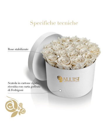 20 Rose Bianche Stabilizzate