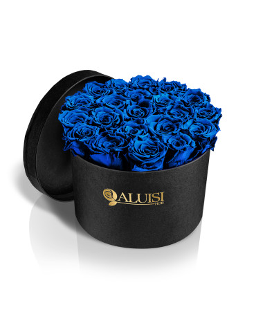 20 Rose Blu Stabilizzate