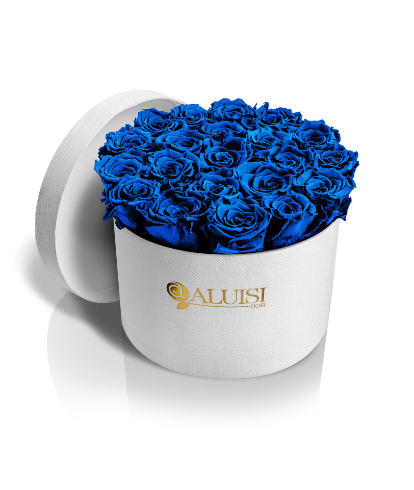 20 Rose Blu Stabilizzate