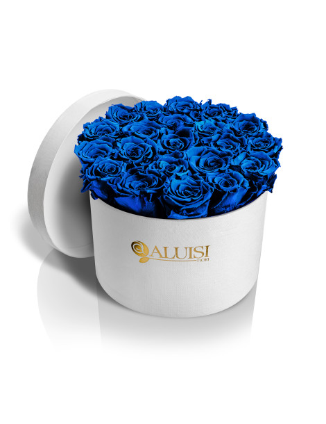 20 Rose Blu Stabilizzate