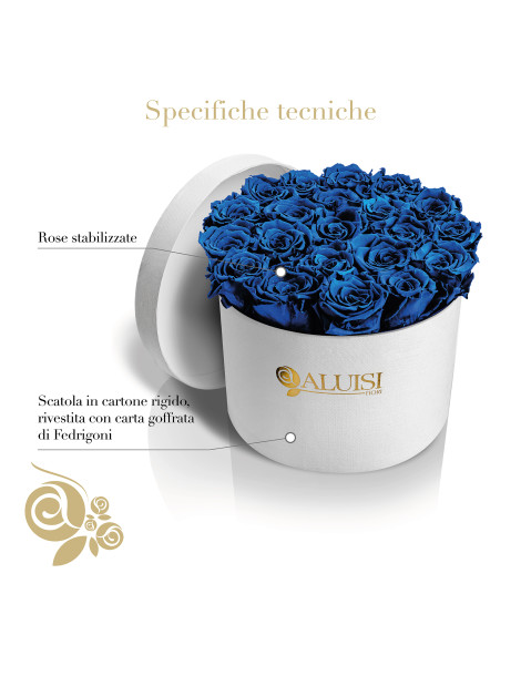 20 Rose Blu Stabilizzate
