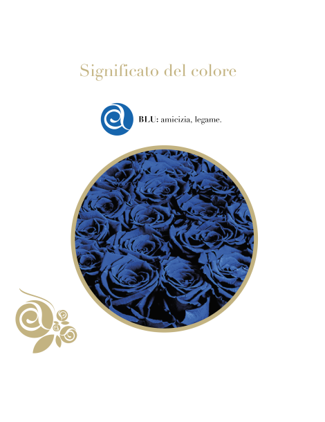 20 Rose Blu Stabilizzate