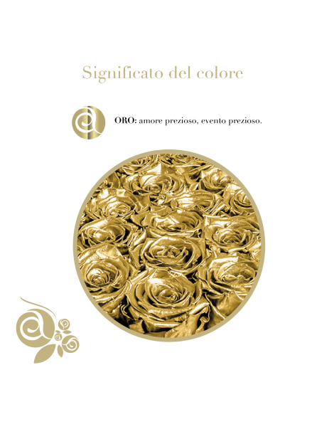 20 Rose Oro Stabilizzate