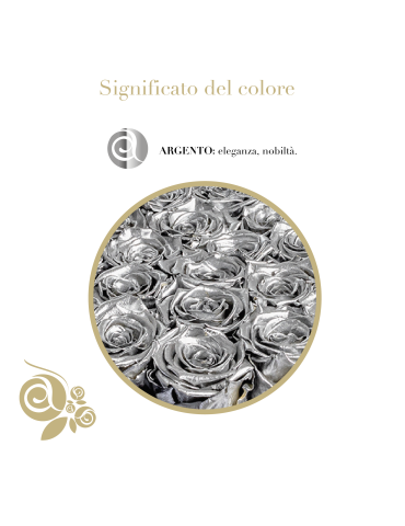 20 Rose Argento Stabilizzate