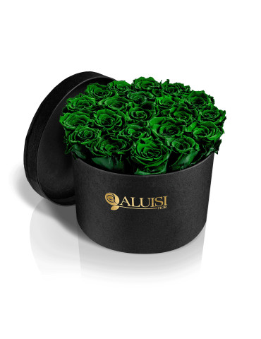 20 Rose Verdi Stabilizzate
