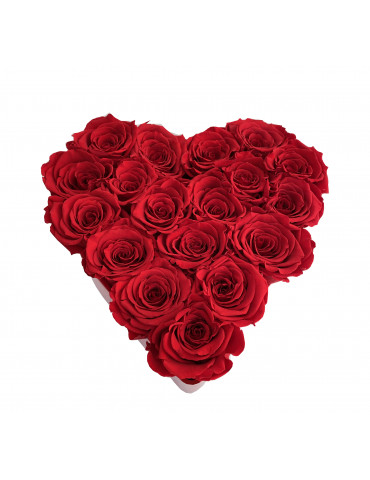 Cuore Rose Rosse Small