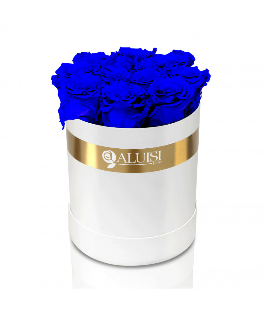 12 Rose Blu Stabilizzate