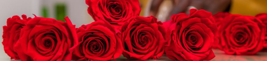 Rose Stabilizzate - Durano per Sempre - Aluisi Fiori